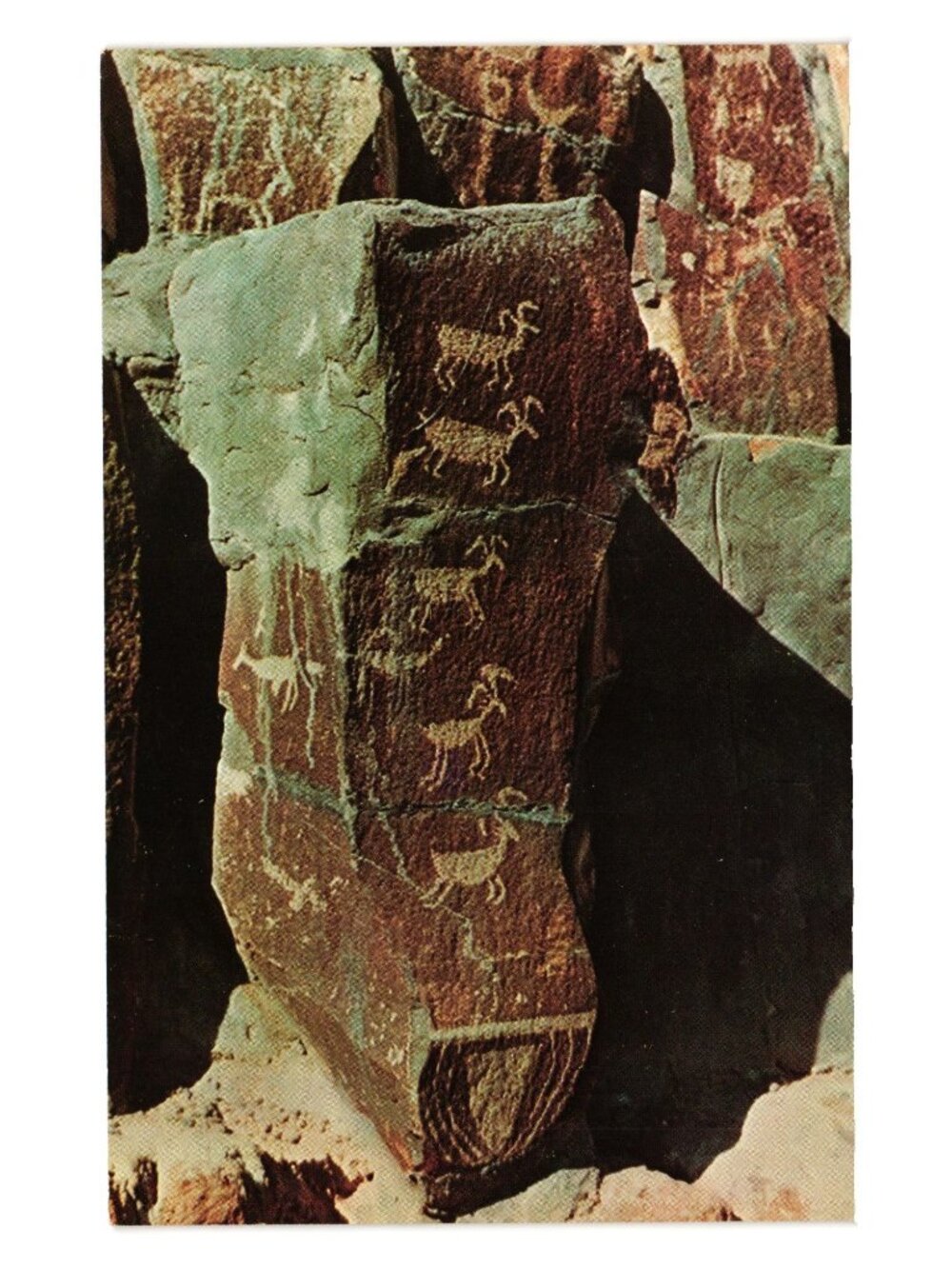 Ginkgo Petrified Forest Museum Postcard Ancient Picture Writings WA Columbia Riv